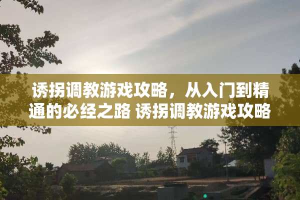 诱拐**游戏攻略，从入门到精通的必经之路 诱拐**游戏攻略