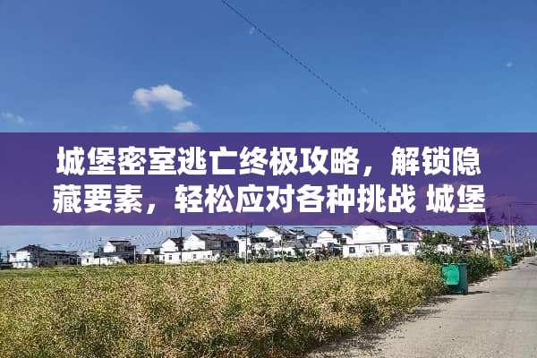 城堡密室逃亡终极攻略，解锁隐藏要素，轻松应对各种挑战 城堡密室逃亡攻略