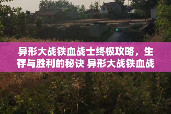 异形大战铁血战士终极攻略，生存与胜利的秘诀 异形大战铁血战士攻略