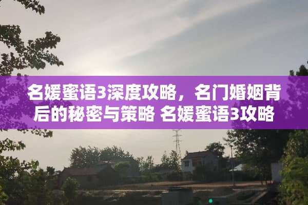 名媛蜜语3深度攻略，名门婚姻背后的秘密与策略 名媛蜜语3攻略