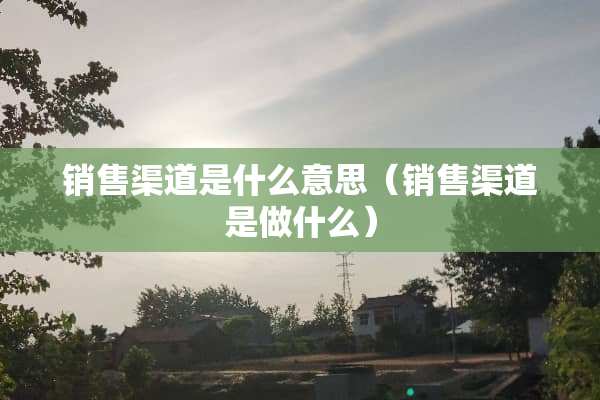 销售渠道是什么意思（销售渠道是做什么）