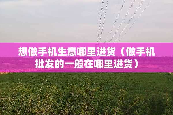 想做手机生意哪里进货（做手机批发的一般在哪里进货）