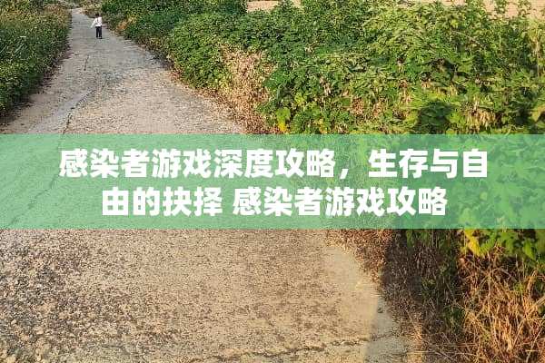 感染者游戏深度攻略，生存与自由的抉择 感染者游戏攻略