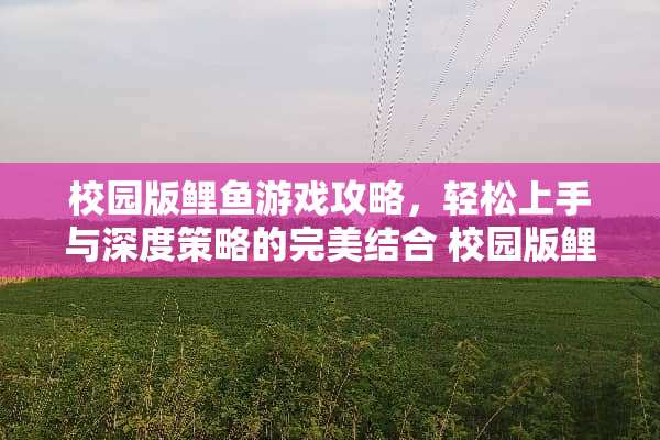 校园版鲤鱼游戏攻略，轻松上手与深度策略的完美结合 校园版鲤鱼游戏攻略