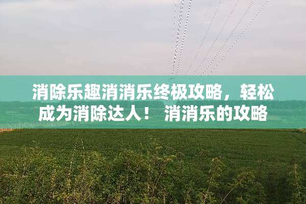 消除乐趣消消乐终极攻略，轻松成为消除达人！ 消消乐的攻略