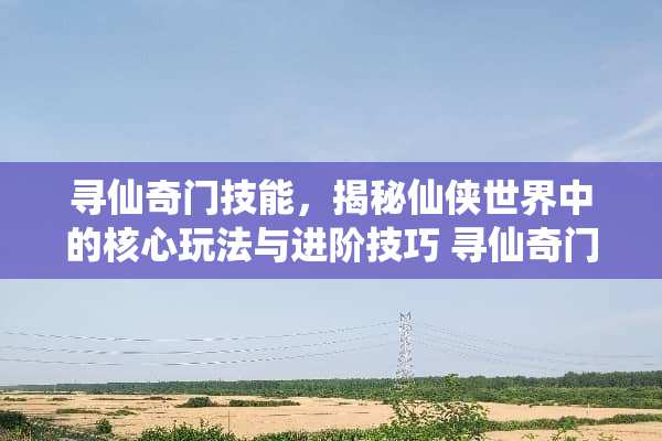 寻仙奇门技能，揭秘仙侠世界中的核心玩法与进阶技巧 寻仙奇门技能