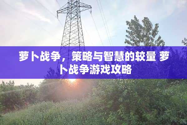 萝卜战争，策略与智慧的较量 萝卜战争游戏攻略
