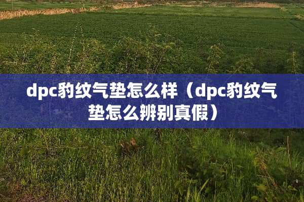 dpc豹纹气垫怎么样（dpc豹纹气垫怎么辨别真假）