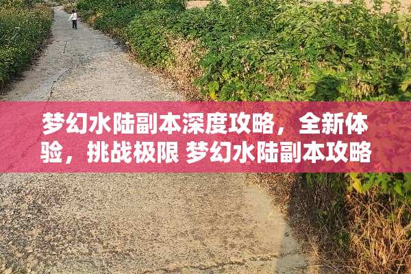 梦幻水陆副本深度攻略，全新体验，挑战极限 梦幻水陆副本攻略