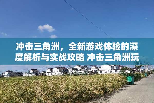 冲击三角洲，全新游戏体验的深度解析与实战攻略 冲击三角洲玩法