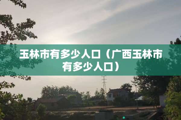 玉林市有多少人口（广西玉林市有多少人口）