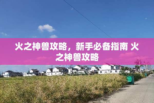 火之神兽攻略，新手必备指南 火之神兽攻略