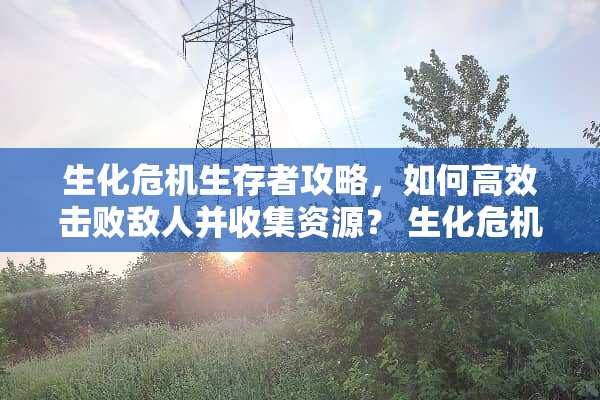 生化危机生存者攻略，如何高效击败敌人并收集资源？ 生化危机攻略