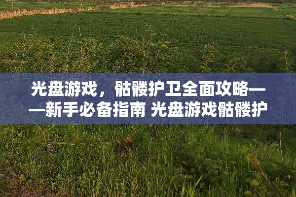 光盘游戏，骷髅护卫全面攻略——新手必备指南 光盘游戏骷髅护卫攻略