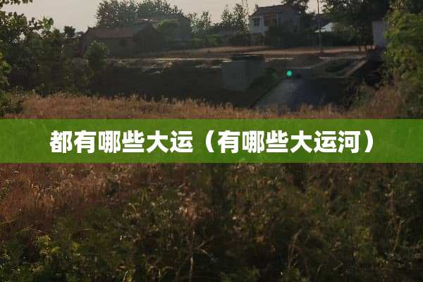 都有哪些大运（有哪些大运河）