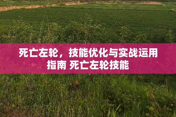 死亡左轮，技能优化与实战运用指南 死亡左轮技能