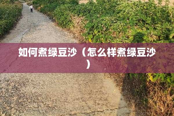 如何煮绿豆沙（怎么样煮绿豆沙）