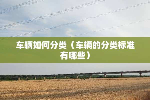车辆如何分类（车辆的分类标准有哪些）