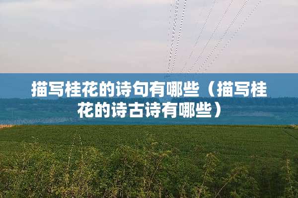 描写桂花的诗句有哪些（描写桂花的诗古诗有哪些）