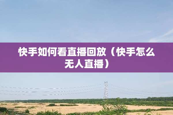 快手如何看直播回放（快手怎么无人直播）