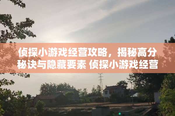 侦探小游戏经营攻略，揭秘高分秘诀与隐藏要素 侦探小游戏经营攻略