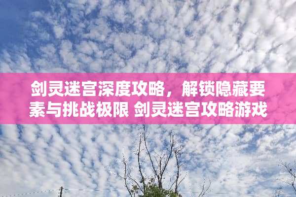剑灵迷宫深度攻略，解锁隐藏要素与挑战极限 剑灵迷宫攻略游戏