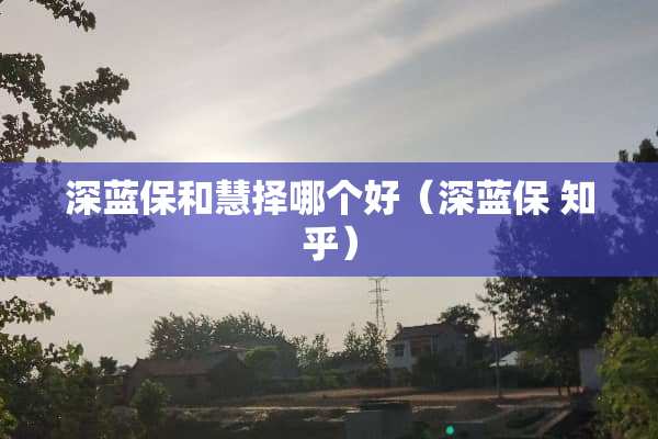深蓝保和慧择哪个好（深蓝保 知乎）