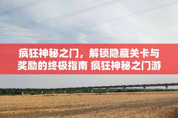 疯狂神秘之门，解锁隐藏关卡与奖励的终极指南 疯狂神秘之门游戏攻略