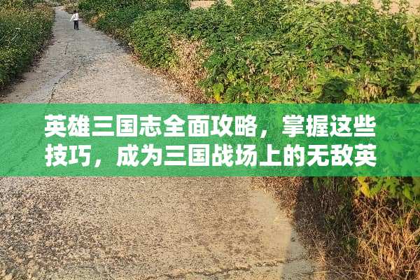 英雄三国志全面攻略，掌握这些技巧，成为三国战场上的无敌英雄 英雄三国志攻略