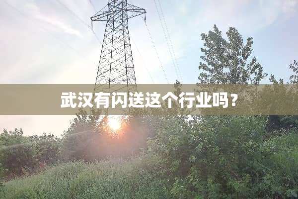 武汉有闪送这个行业吗？