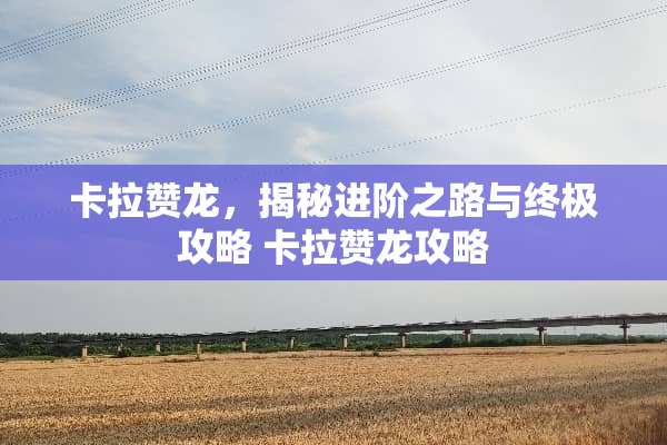 卡拉赞龙，揭秘进阶之路与终极攻略 卡拉赞龙攻略