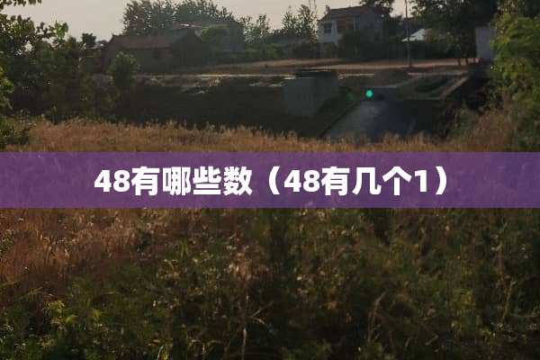 48有哪些数（48有几个1）