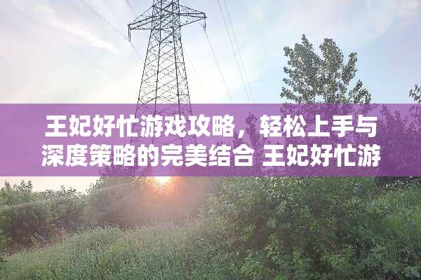 王妃好忙游戏攻略，轻松上手与深度策略的完美结合 王妃好忙游戏攻略
