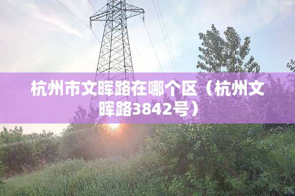 杭州市文晖路在哪个区（杭州文晖路3842号）