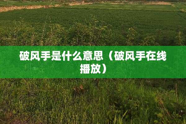 破风手是什么意思（破风手在线播放）