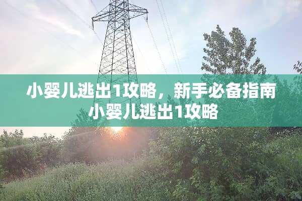 小婴儿逃出1攻略,新手必备指南 小婴儿逃出1攻略 小婴儿逃出1攻略,新手必备指南 小婴儿逃出1攻略