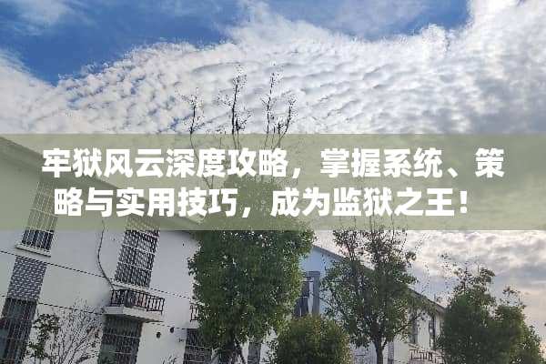 牢狱风云深度攻略，掌握系统、策略与实用技巧，成为监狱之王！ 牢狱风云攻略