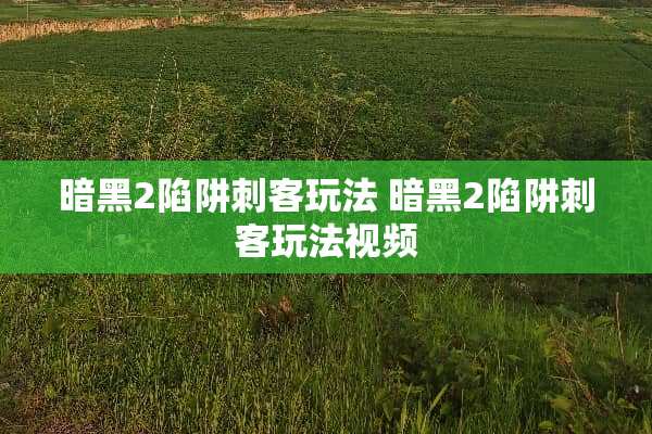 暗黑2陷阱刺客玩法 暗黑2陷阱刺客玩法视频
