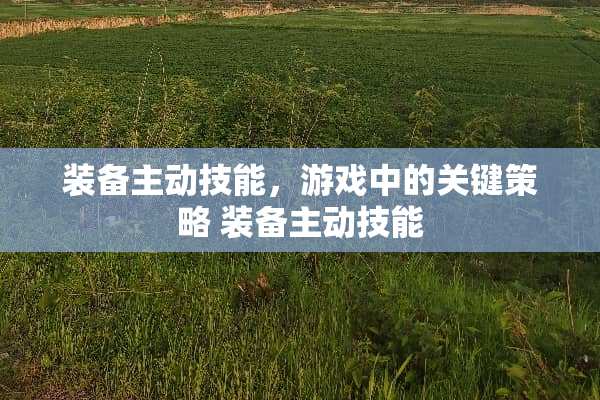 装备主动技能，游戏中的关键策略 装备主动技能