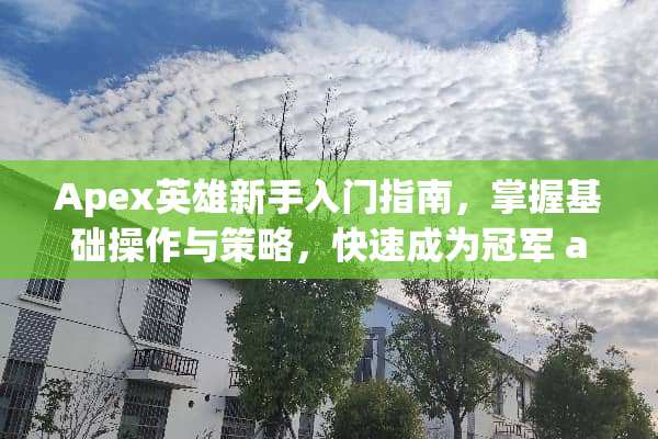 Apex英雄新手入门指南，掌握基础操作与策略，快速成为冠军 apex新手攻略