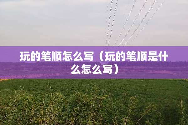 玩的笔顺怎么写（玩的笔顺是什么怎么写）