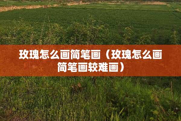 玫瑰怎么画简笔画（玫瑰怎么画简笔画较难画）