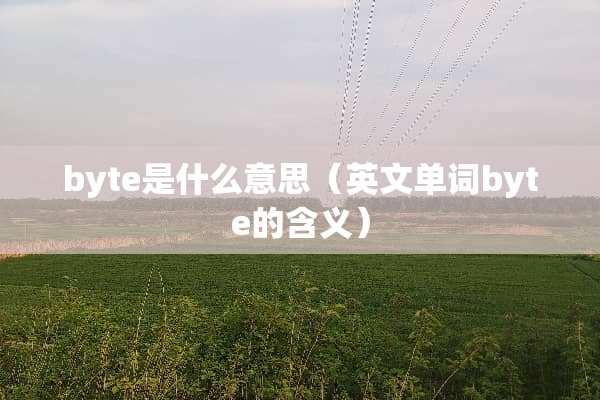 byte是什么意思（英文单词byte的含义）