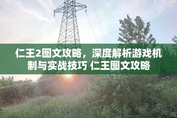 仁王2图文攻略，深度解析游戏机制与实战技巧 仁王图文攻略