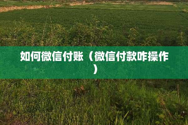 如何微信付账（微信付款咋操作）