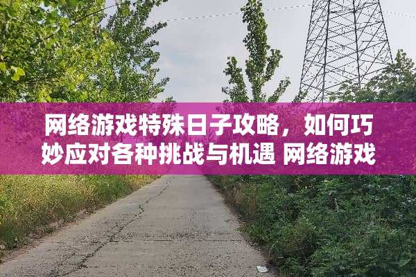 网络游戏特殊日子攻略，如何巧妙应对各种挑战与机遇 网络游戏特殊日子攻略