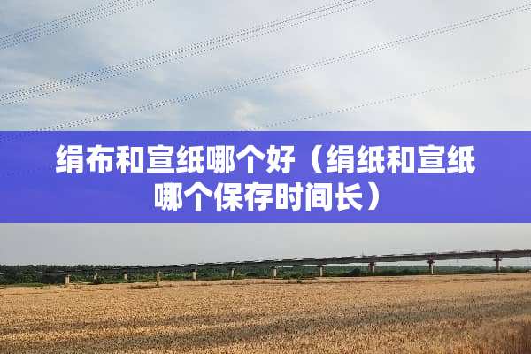 绢布和宣纸哪个好（绢纸和宣纸哪个保存时间长）