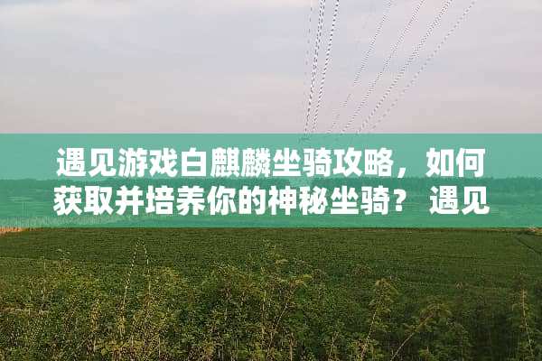 遇见游戏白麒麟坐骑攻略，如何获取并培养你的神秘坐骑？ 遇见游戏白麒麟坐骑攻略