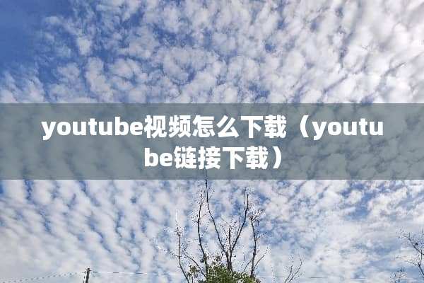 youtube视频怎么下载（youtube链接下载）