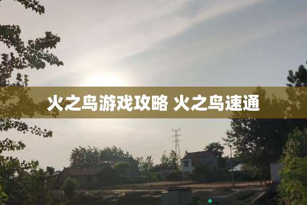 火之鸟游戏攻略 火之鸟速通